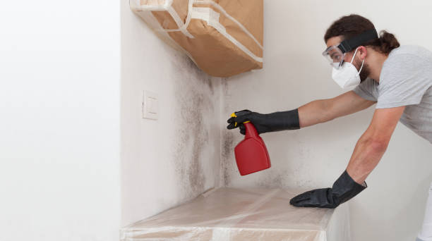 Professional Basement Mold Removal technician working in Joint Base Mdl, NJ