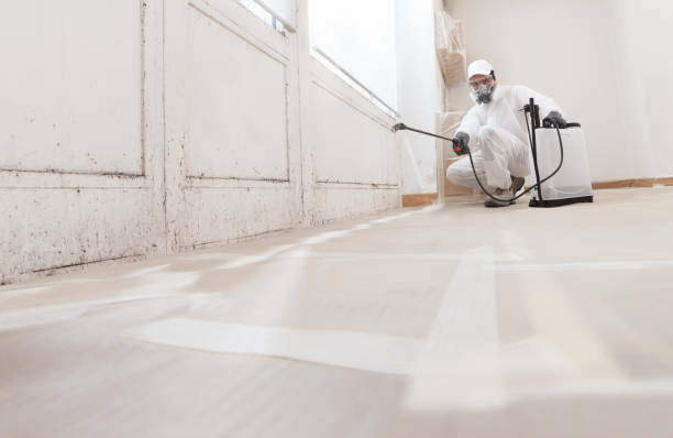 24/7 Emergency Basement Mold Removal experts in Joint Base Mdl, NJ